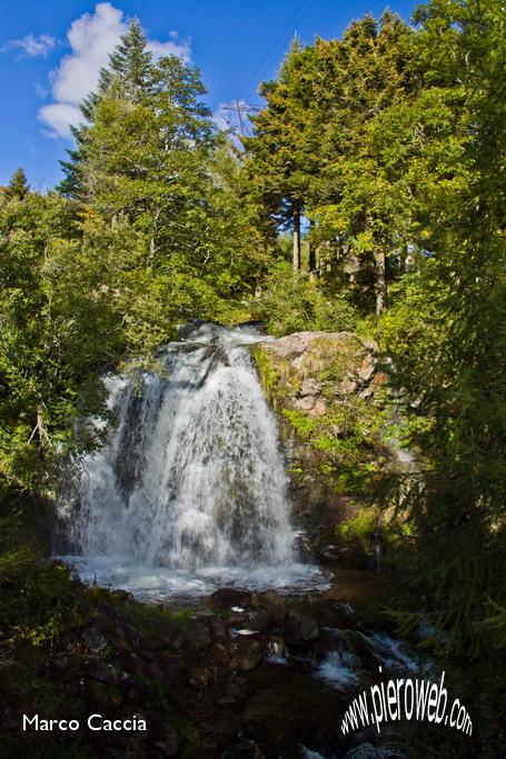 05_Cascata tra i pini.JPG